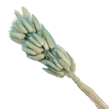 Buchet Lagurus Natur Turquoise